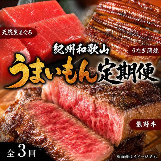 【定期便 全3回】紀州和歌山うまいもんセットA（生まぐろ・うなぎ蒲焼・熊野牛）【UT125】 303446_XF91165