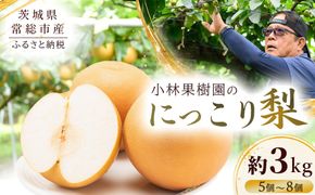 【先行予約】小林果樹園の梨 にっこり 5～8玉 約3kg｜朝どり みずみずしい 梨 なし ナシ フルーツ 果物 常総市　※2026年9月～発送