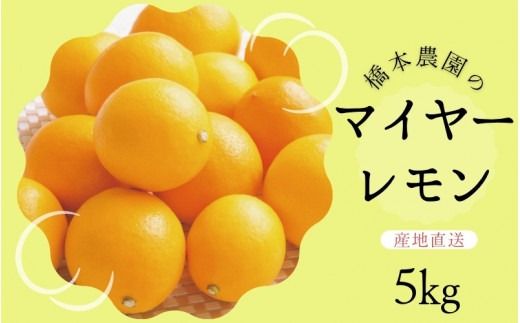 【先行予約】橋本農園のマイヤーレモン 5kg【2026年12月中旬から2027年1月中旬までに順次発送】 / レモン マイヤーレモン 檸檬 先行予約【mht006】