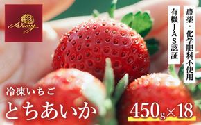 冷凍いちご 450g×18