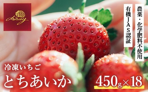 yȖ،szⓀ 450g×18