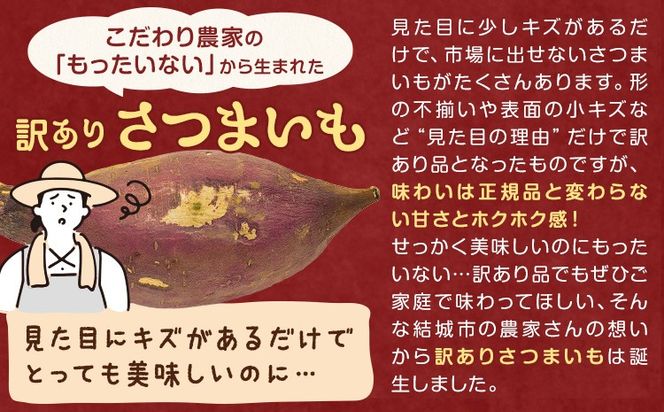 茨城県産 さつまいも こだわり農家の訳ありさつまいも 茨城県結城市産 サイズ不選別 品種おまかせ 選べる 約5kg 約10kg 《1月上旬-3月上旬頃出荷》茨城県 結城市 ご家庭用 お芋 訳あり 紅はるか シルクスイート あまはずき 栗かぐや 品種 お任せ いも 芋---yuki_local_251_5kg---
