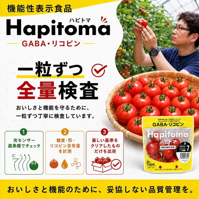 【12ヶ月定期便】機能性表示食品 Hapitoma ハピトマ 糖度7（1kg）【配送不可：北海道・沖縄・離島】健康 ヘルシー GABA リコピン 人気 厳選 袋井市 野菜 トマト ミニトマト とまと 12回 1年 