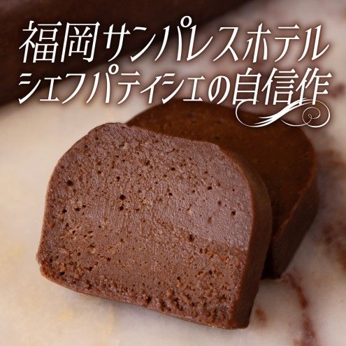 ガトーショコラ 大人の生ガトーショコラ 2個 セット 洋菓子 ケーキ デザート テリーヌ チョコレート ※配送不可:離島 