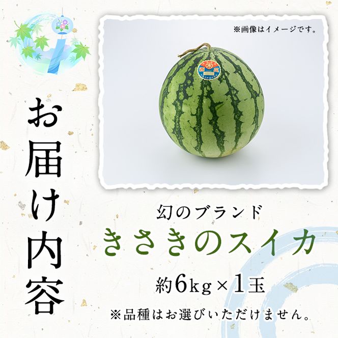＜先行予約受付中！2026年7月上旬以降順次発送予定＞幻のブランド「きさきのスイカ」(1玉・約6kg) スイカ すいか 西瓜 果物 フルーツ 野菜 旬 夏 おやつ 水分補給 熱中症対策 木佐木野 【竹ん子山】akn097-08