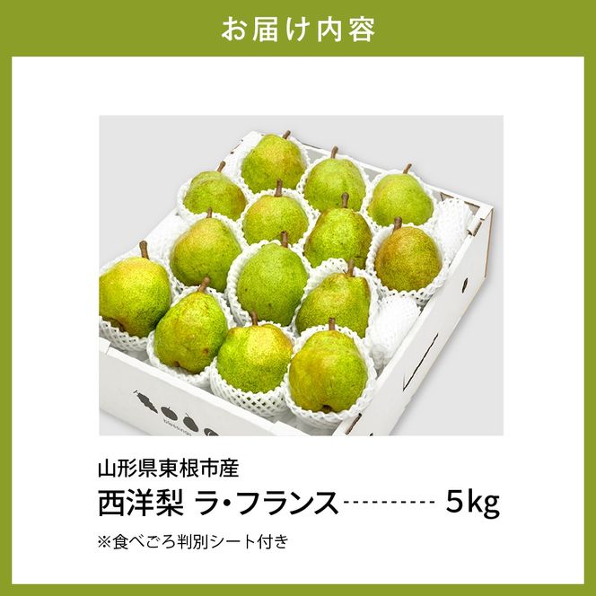 【令和6年産 先行予約】西洋梨ラフランス5kg　秀品　化粧箱入り 山形県 東根市 東根農産センター提供 hi027-141