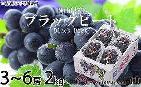 ぶどう 2026年 先行予約 ブラックビート 約2kg 3房～6房 ブドウ 葡萄  岡山県産 国産 フルーツ 果物 ギフト 岡山のブドウ デザート 食べ物 日本産 