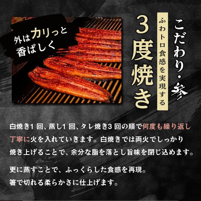 年内発送 国内産うなぎ蒲焼4尾（タレ・山椒付き）合計500g以上【申込は2025年12月24日まで】 	Y015