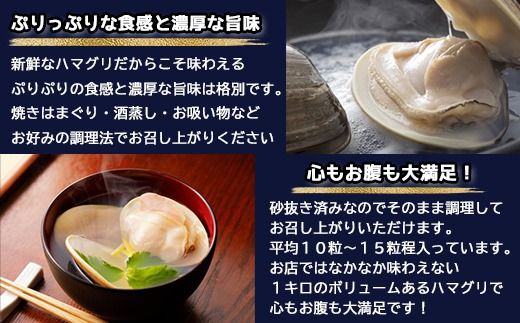 地元で50年続く鮮魚店が目利き！ 九十九里産 天然はまぐり 1kg   ふるさと納税 蛤 はまぐり 九十九里 天然 酒蒸し お吸い物 千葉県 山武市 SMBL001