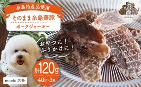 【糸島特産品使用】 無添加 そのまま 糸島華豚 3袋 糸島市 / 株式会社コバヤシ【coco.kina】 犬 おやつ ドッグフード ジャーキー [ASL007] 無添加 ドッグフード おやつ ビーフジャーキー 犬 ペット