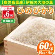 isa520-A 【定期便6回】 ＜普通精米＞令和7年産 鹿児島県伊佐南浦産ひのひかり (合計60kg・計10kg×6ヵ月) 国産 白米 精米 伊佐米 お米 米 生産者 定期便 ひのひかり 【Farm-K】