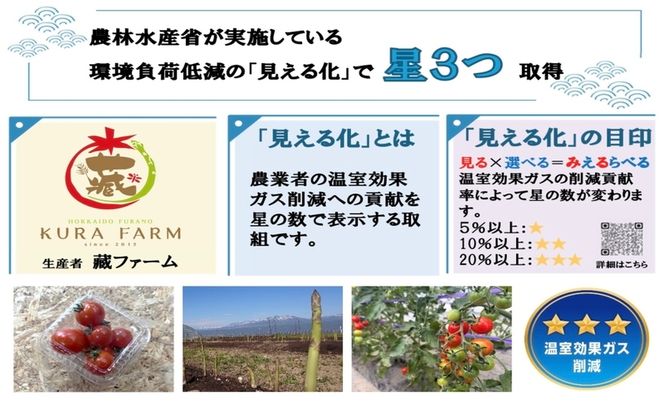 【2026年7月より発送】北海道 富良野市産 完熟ミニトマト（甘っこ）約1kg カラートマト・ぷちぷよ付 トマト 甘い 野菜 新鮮 数量限定 先着順【藏ファーム】