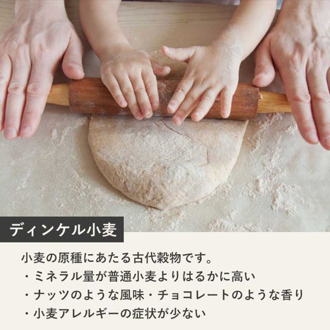 【毎月定期便】北海道産 スペルト小麦全粒粉 ディンケルスター 10kg 全2回 MROBI023