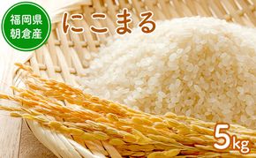 令和8年度産米 にこまる 5kg 福岡県朝倉産 白米 精米 お米