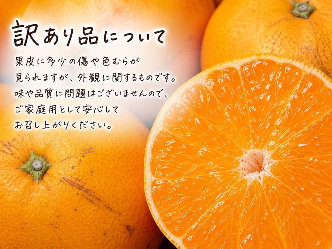 紀州有田産せとか約3kg［ご家庭用］　とろける食感！ジューシー柑橘［2027年2月下旬以降発送］［先行予約］［UT133］ 303446_XF91173