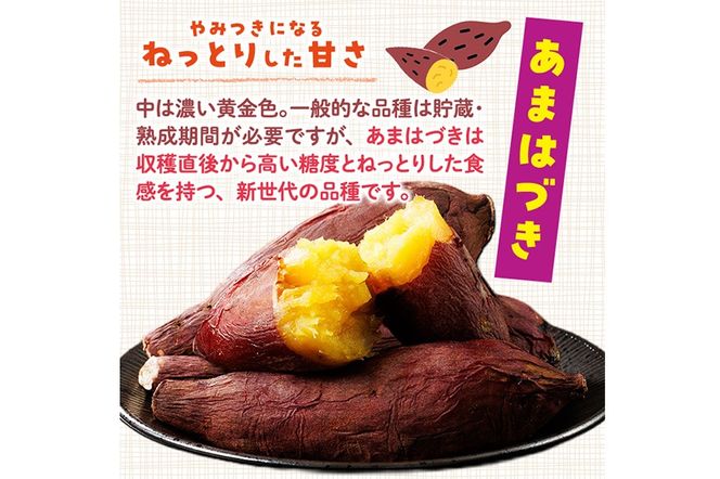 ＜先行予約受付中！2026年10月から順次発送予定＞おやつ芋 あまはづき 冷凍 焼き芋(計30個・3個入り×10袋) 焼芋 やきいも さつまいも さつま芋 レンジ あまはづき 小分け おやつ 【YO-26】【株式会社陽】