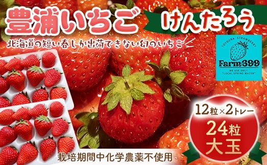 【2026年4月以降順次出荷】豊浦いちご 大玉12粒×2トレー 【 ふるさと納税 人気 おすすめ ランキング 果物 いちごイチゴ 苺 大玉 大粒 けんたろう おいしい 美味しい 農園直送 採れたて 新鮮 産直 苺 ストロベリー 北海道 豊浦町 送料無料 】 TYUAH001