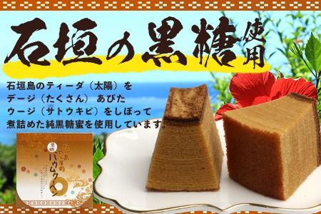 石垣島 やし屋手作り 石垣の塩バウムクーヘン×1箱 ＆ 黒糖バウムクーヘン×1箱＆手作り黒糖菓子　詰め合わせセット【 沖縄県 石垣市 石垣島 黒糖 石垣の塩 手作り 菓子 バウムクーヘン 】YA-4