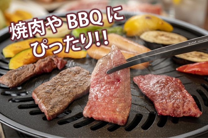 佐賀牛 カルビ 焼肉用 600g【A4～A5ランク】【希少 国産和牛 牛肉 肉 牛 焼肉】(H085206)