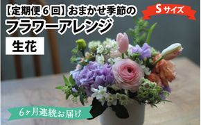 【定期便6回】母の日アレンジok おまかせ季節のフラワーアレンジ（生花）Ｓサイズ×6ヶ月【母の日申込期日：4/26（日）まで】【母の日発送予定日：～5/11（月）まで】お好み 日時指定可能