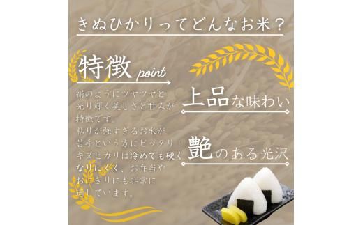 和歌山県産 キヌヒカリ 2kg(2025年産) / 白米 コメ 産地直送 米 こめ ご飯 ごはん コシヒカリ 【sml138】