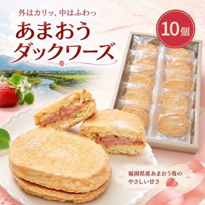洋菓子 あまおう ダックワーズ 10個入り いちご スイーツ 菓子 お菓子