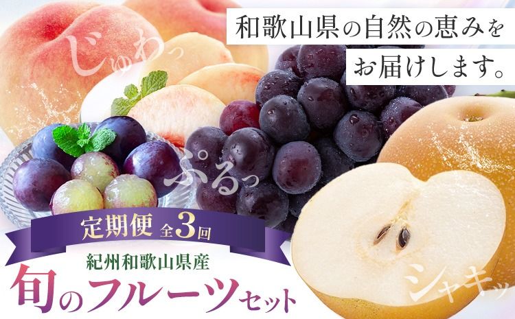 紀州 和歌山県産 旬の フルーツ セット 3ヶ月定期便 7月・8月・9月配送 桃 約1.8kg 梨 約2kg ピオーネ 約2kg 株式会社魚鶴商店[7月中旬-9月下旬頃出荷]和歌山県 日高川町 もも なし ぶどう 定期便 果物 旬---wshg_uot105tei_26_53000_789y3---