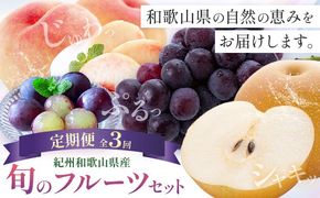 紀州 和歌山県産 旬の フルーツ セット 3ヶ月定期便 7月・8月・9月配送 桃 約1.8kg 梨 約2kg ピオーネ 約2kg 株式会社魚鶴商店《7月中旬-9月下旬頃出荷》和歌山県 日高川町 もも なし ぶどう 定期便 果物 旬---wshg_uot105tei_26_53000_789y3---