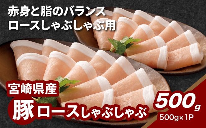 y{茧؏钬z{茧Y؃[XԂԗp 500g K16_0192