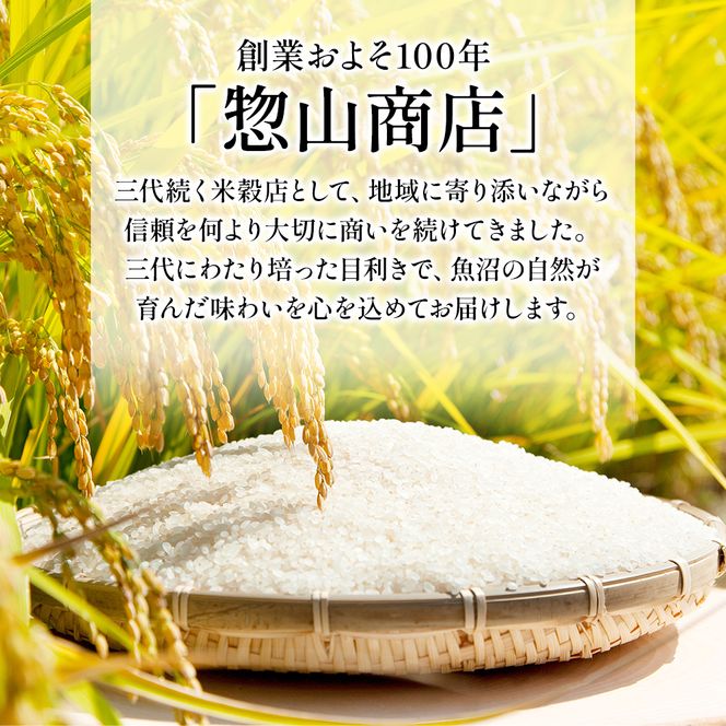 令和7年度産【十日町産】 魚沼産コシヒカリ10kg 米 お米 こしひかり 精米 新潟 
