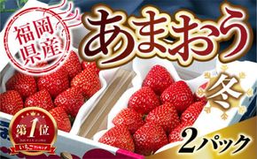いちご あまおう 福岡産あまおう 冬 2パック 【期間限定発送】 [南国フルーツ 福岡県 宇美町 um40azo970039] 先行予約 イチゴ 苺 フルーツ 果物 果実 甘い あまい 小分け