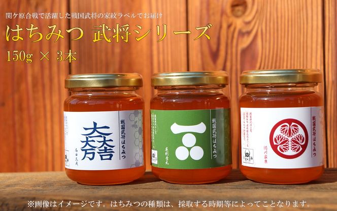 E-24 はちみつ150g3本 武将シリーズ