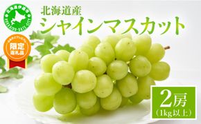【ふるプレ限定品】＜先行予約＞ シャインマスカット 2房（1kg以上）化粧箱入り
