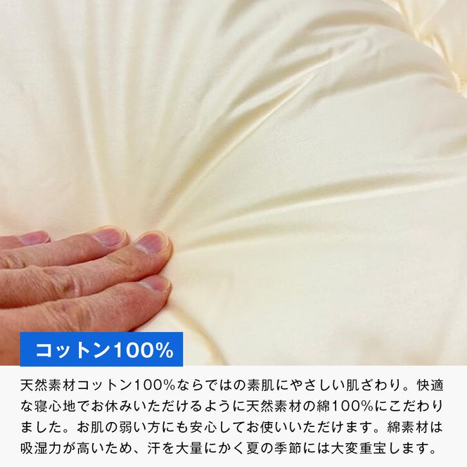インビスタ ダクロン3.0kg入 バルキーファイバーフィル 清潔 ふんわり敷ふとんS