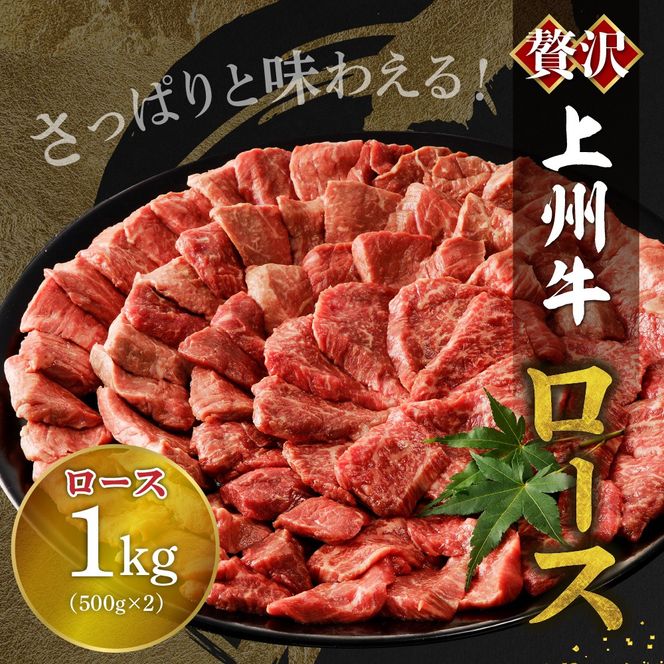 牛肉 ロース 【上州牛】 1.0kg（500g×2パック）   群馬県 千代田町 国産 牛肉 ブランド牛 精肉 肉 お肉 焼肉 バーベキュー BBQ キャンプ アウトドア 食品 冷凍便 グルメ お取り寄せ グルメ 送料無料