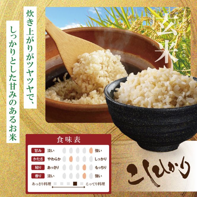 R7年産取手市産コシヒカリ 玄米5kg|お米 米 こしひかり コシヒカリ 玄米 茨城県 取手市（BS003）