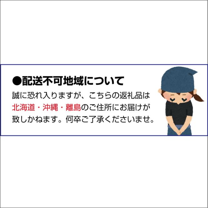 ＼光センサー選別／極 有田みかんプレミアム 3kg【選りすぐりの上位20％をお届け】2S～Mの小玉サイズ 有機質肥料100% ※2024年11月下旬頃～2024年12月下旬頃に順次発送予定 ※北海道・沖縄・離島への配送不可/ミカン 蜜柑 柑橘 フルーツ くだもの 果物 温州 有田 甘い 高級 贈答品 贈り物 新鮮 3kg 12月 【nuk154B】