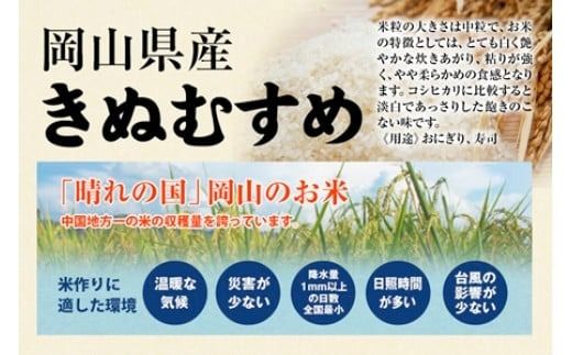 ＜定期便 全6回＞ 令和7年産 真庭市産きぬむすめ 無洗米10kg (5kg×2袋) ×6回 / お米 国産 岡山県 米 人気 ブランド 2025年産 【tkns-tkb023-cho】