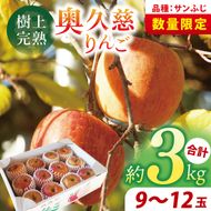 【先行予約】仲野りんご園の奥久慈りんご「サンふじ」約3kg（9～12玉）｜茨城県 大子町 樹上完熟 林檎 アップル 果物 フルーツ 旬 秋 味覚 ギフト 贈答（DF001）