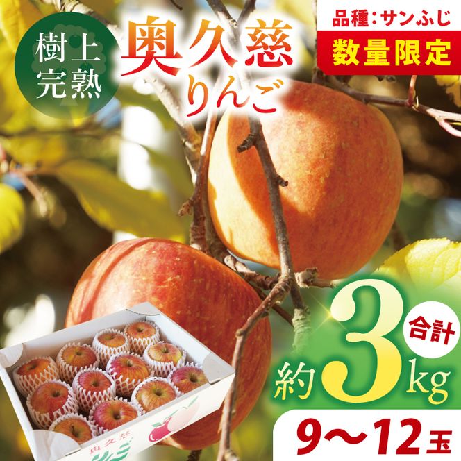 【先行予約】仲野りんご園の奥久慈りんご「サンふじ」約3kg（9～12玉）｜茨城県 大子町 樹上完熟 林檎 アップル 果物 フルーツ 旬 秋 味覚 ギフト 贈答（DF001）