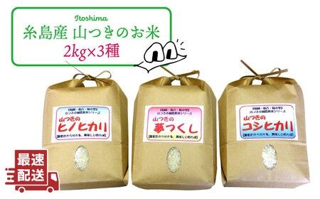 【新米】福吉産 ・ 山つき の 減農薬米 3品種 セット（ ヒノヒカリ 、 夢つくし 、 コシヒカリ） 《糸島》【二丈赤米産直センター】米/減農薬/コシヒカリ/夢つくし/ヒノヒカリ [ABB024]