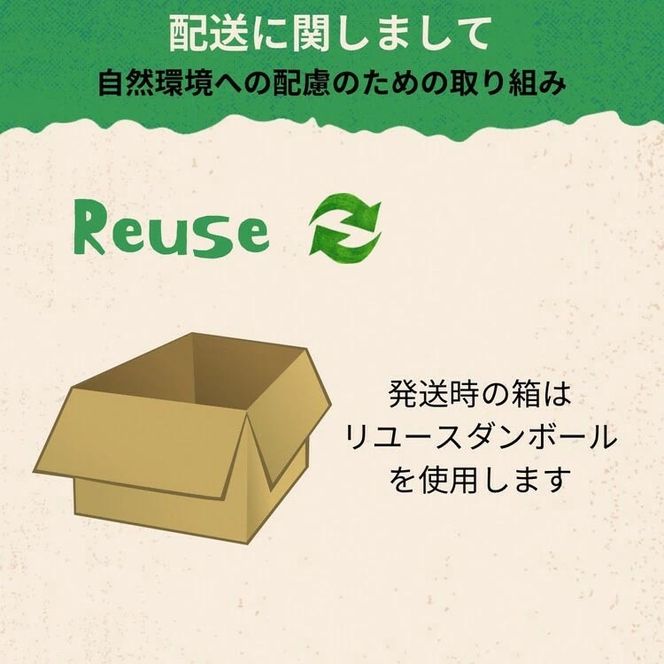 【期間限定】自然栽培のさつまいも 6kg 鳴門金時 京都 亀岡産 かたもとオーガニックファームよりお届け《サツマイモ 野菜 産地直送 国産 スイーツ》 ※2024年11月上旬～2025年1月下旬頃に順次発送予定 ※離島への配送不可