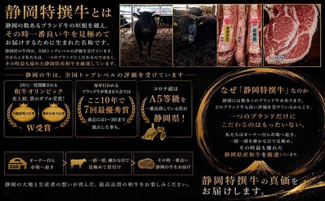 静岡特撰牛サーロインスライスセット（すき焼き・しゃぶしゃぶ用）500g 222232_DC003