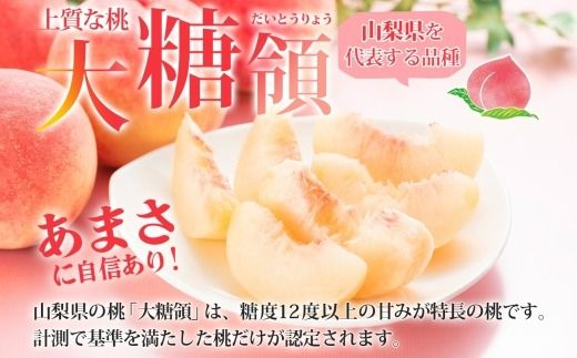 【2026年発送★先行予約】桃 秀品 3.0kg 大糖領 糖度12％以上※クール便配送 177-002-26y