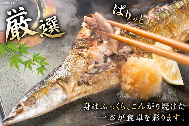 【期間限定発送】生 さんま 8尾 大サイズ [阿部長商店 宮城県 気仙沼市 20566343] 魚 サンマ 秋刀魚 生鮮 鮮魚 季節限定