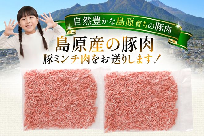 AK026 豚ミンチ 500g 2パック 計1kg [ 豚肉 肉 ミンチ ミンチ肉 小分け ぶた肉 ぶた 豚 スターゼン 長崎県 島原市 ]