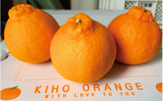 みかん 不知火 たにぐち農園の完熟不知火 5kg【2026年2月中旬から3月下旬までに順次発送】 / 不知火 みかん 蜜柑 デコポン【mtn011B】