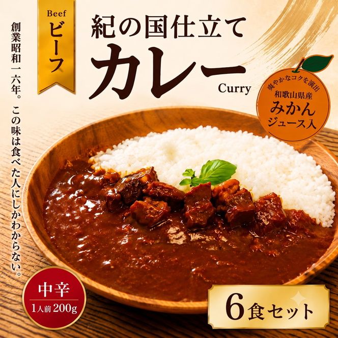 紀の国仕立て カレー （ビーフ） 6食 中辛 1人前200g (A1193-1) 