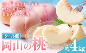 【2027年発送先行予約】 桃 岡山の桃 約4kg《2027年6月下旬～9月上旬頃出荷》岡山県 笠岡市 白桃 岡山 はくとう スイーツ フルーツ 果物 デザート 旬 モモ もも 送料無料 果物 清水白桃 白鳳 白麗 クール便---kasaoka_zsy_414_40_2027---