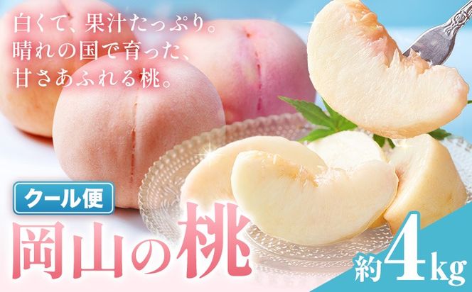 桃 岡山の桃 約4kg《6月下旬-9月上旬頃発送》岡山県 笠岡市 白桃 岡山 はくとう スイーツ フルーツ 果物 デザート 旬 モモ もも 送料無料 果物 清水白桃 白鳳 白麗 クール便---kasaoka_zsy_321_40m---